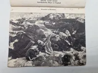Sjælden original anti nazistisk propaganda på tysk