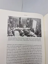 Hitler, en biografi