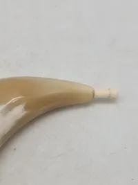 Originalt krudthorn