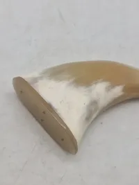 Originalt krudthorn