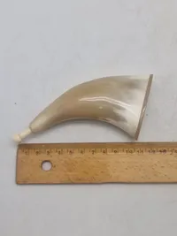 Originalt krudthorn