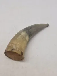 Krudthorn af ben
