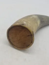 Krudthorn af ben