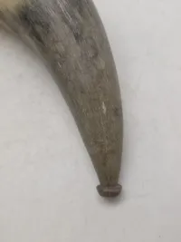 Krudthorn af ben