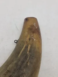 Krudthorn af ben