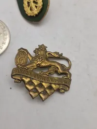 Regimentsmærker, Livgarden mm.