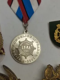 Regimentsmærker, Livgarden mm.