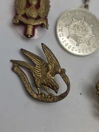 Regimentsmærker, Livgarden mm.