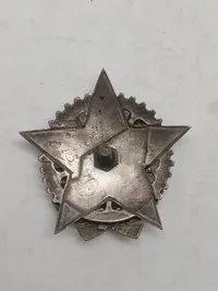 "Tegnet til helten fra januarbegivenhederne i 1918" (Знак «Герою январских событий 1918 года»)