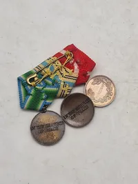 Original dansk miniature spange