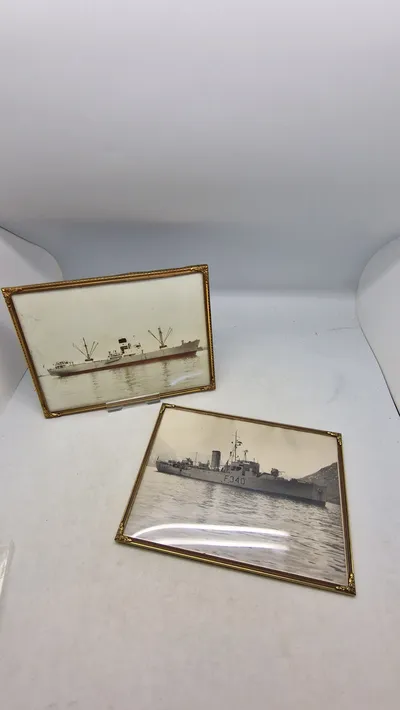Originale søværns fotos, indrammede