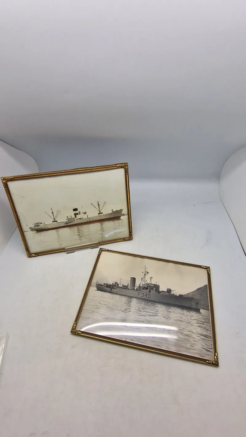 Originale søværns fotos, indrammede