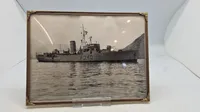 Originale søværns fotos, indrammede