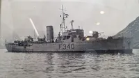 Originale søværns fotos, indrammede