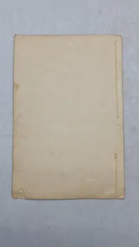 Originalt Dansk Gardehusar foto