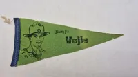Vejle vimpel