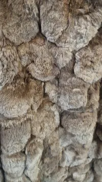 Original pels størelse ca. medium Kanin