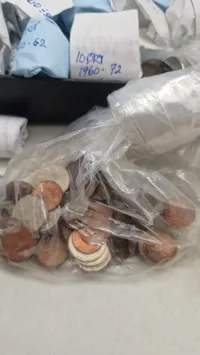 Stor samling mønter
