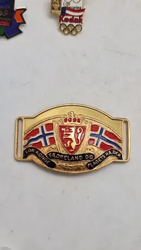 Samling diverse pins