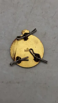 Original dansk “sprognål” fra det danske politi - der blev givet til kadetter som har opnået karakterer over 9 på Politiskolen