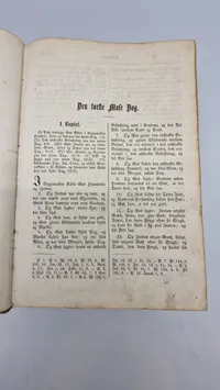 Original bibel 1859