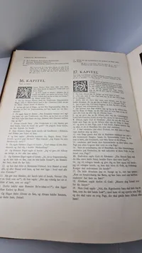 Original stor familie bibel