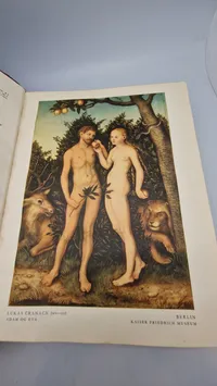 Original stor familie bibel