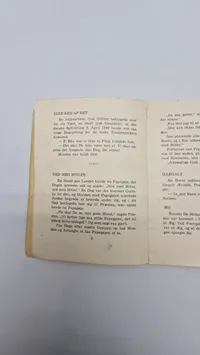Original ww2  pjece - Hitler skæg