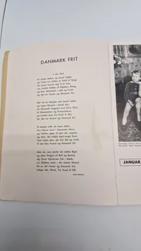 1945 - Året fortalt i billeder