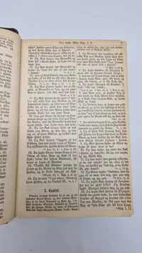 Original bibel -  1880