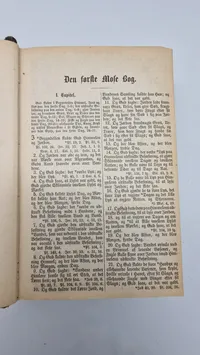 Original bibel -  1880