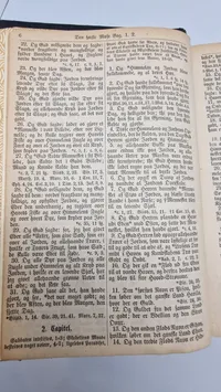 Original bibel -  1880