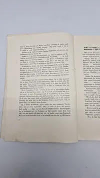 Original D.N.S.A.P flyer