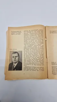 DIE UNVERBESSERLICHEN