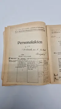 DIE UNVERBESSERLICHEN