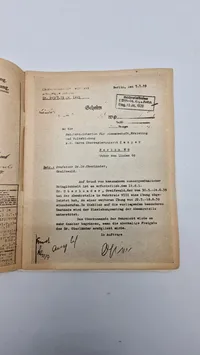 DIE UNVERBESSERLICHEN