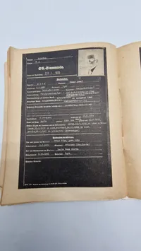 DIE UNVERBESSERLICHEN