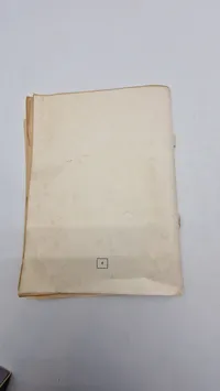 DIE UNVERBESSERLICHEN