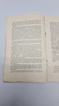 Original N.S.A.P flyer