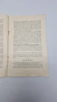 Original N.S.A.P flyer