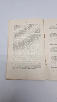 Original N.S.A.P flyer