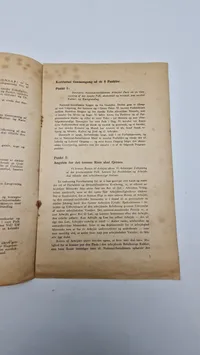 Original D.N.S.A.P flyer