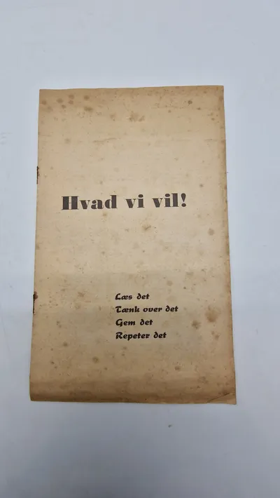 Original D.N.S.A.P flyer