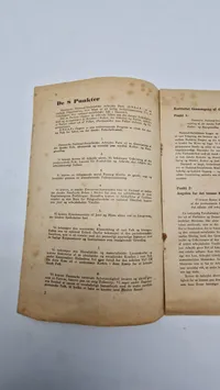 Original D.N.S.A.P flyer