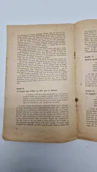 Original D.N.S.A.P flyer