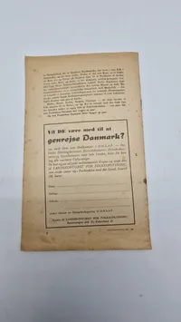 Original D.N.S.A.P flyer