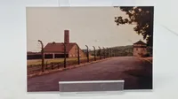 Samling ældre kz fotos