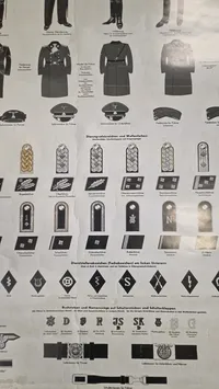 Uniformen der Waffen-SS, genoptryk