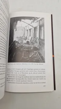 Peter gruppen - Tysk terror i Danmark