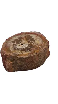 Forstenet træ 506 g